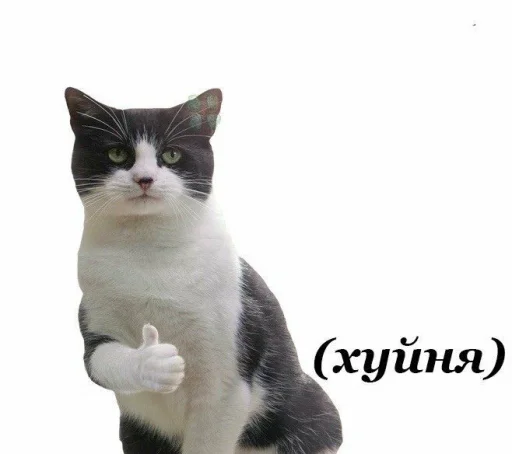👍 Стикер «хто я?» для Telegram