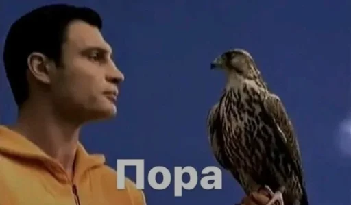 🦅 Стикер «хто я?» для Telegram