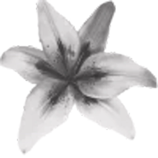 🌸 Эмодзи «‍⬛Black Mood» для Telegram