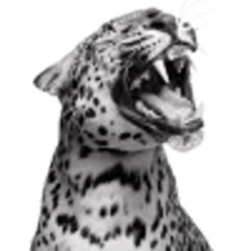 🐯 Эмодзи «‍⬛Black Mood» для Telegram