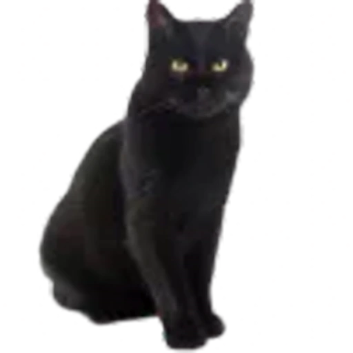 Эмодзи ‍⬛Black Mood для Telegram — скачать
