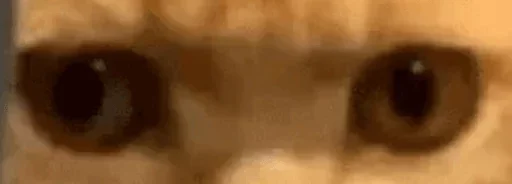 👀 Стикер «Glazaggg» для Telegram