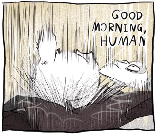 😌 Стикер «Gloomy Cat» для Telegram