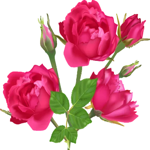🌷 Стикер «عالم الجمال gmalll» для Telegram
