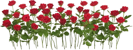 💐 Стикер «عالم الجمال gmalll» для Telegram