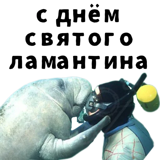 ❤️ Стикер «Гнилой романтичный» для Telegram