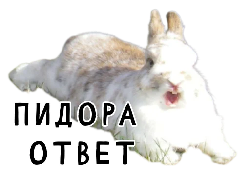 Стикерпак Гнилые кролики для Telegram