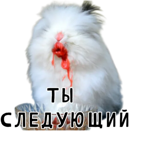 ⏭ Стикер «Гнилые кролики» для Telegram
