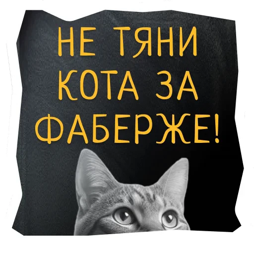 😑 Стикер «Поехали в Калининград» для Telegram