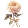 Стикер 46 Ꮺ۰ 𝓖𝓸𝓵𝓭𝓮𝓷