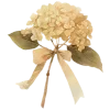 Стикер 38 Ꮺ۰ 𝓖𝓸𝓵𝓭𝓮𝓷