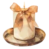🕯 Эмодзи «Ꮺ۰ 𝓖𝓸𝓵𝓭𝓮𝓷» для Telegram