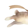 Стикер 51 Ꮺ۰ 𝓖𝓸𝓵𝓭𝓮𝓷