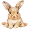 Стикер 23 Ꮺ۰ 𝓖𝓸𝓵𝓭𝓮𝓷