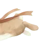 Стикер 10 Ꮺ۰ 𝓖𝓸𝓵𝓭𝓮𝓷