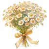 Стикер 22 Ꮺ۰ 𝓖𝓸𝓵𝓭𝓮𝓷