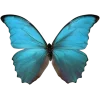 🦋 Эмодзи «Голубые эмоджи tg» для Telegram
