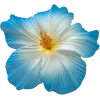 🌺 Эмодзи «Голубые эмоджи tg» для Telegram