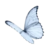 🦋 Эмодзи «Голубые эмоджи tg» для Telegram