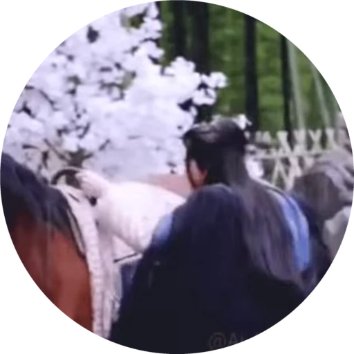 🐴 Стикер «Gong Jun» для Telegram
