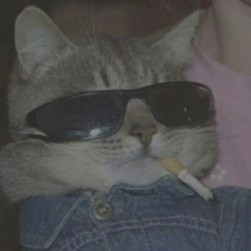 🚬 Стикер «دودة الكرز» для Telegram