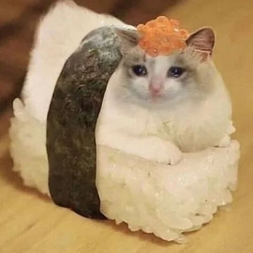 🍣 Стикер «دودة الكرز» для Telegram