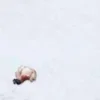 📍 Эмодзи «200 guys is writing on the ground» для Telegram