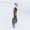 ⬛️ Эмодзи «200 guys is writing on the ground» для Telegram