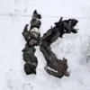 🟥 Эмодзи «200 guys is writing on the ground» для Telegram