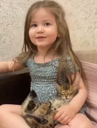😺 Стикер «Kitten» для Telegram