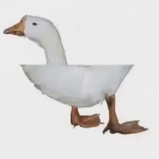 😵‍💫 Стикер «Goose_honk» для Telegram