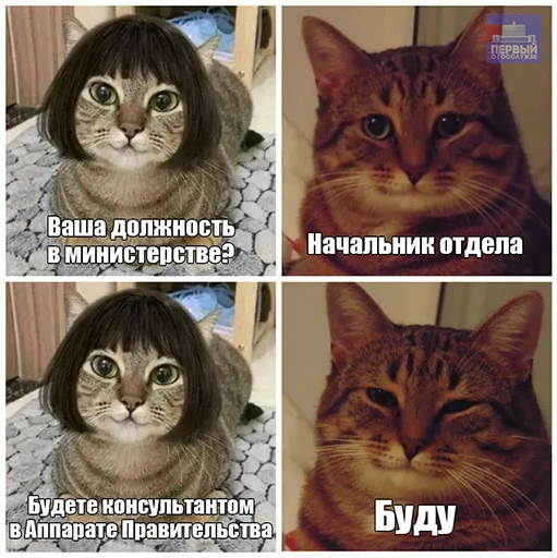 ☺️ Стикер «Коллекция» для Telegram