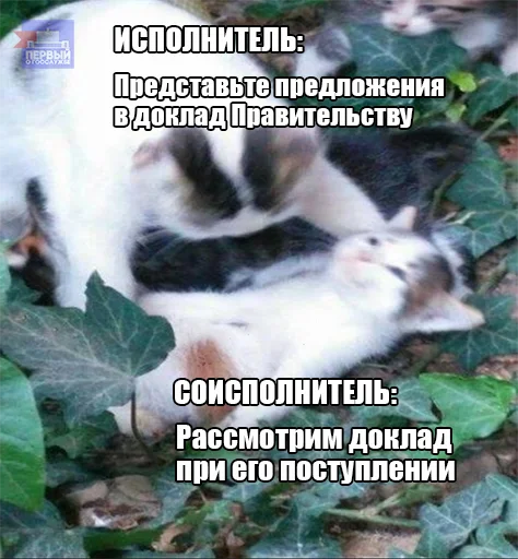 🫠 Стикер «Коллекция» для Telegram