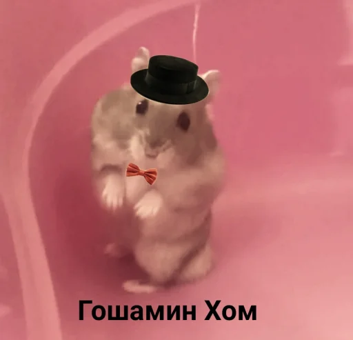 🎩 Стикер «Гошик» для Telegram