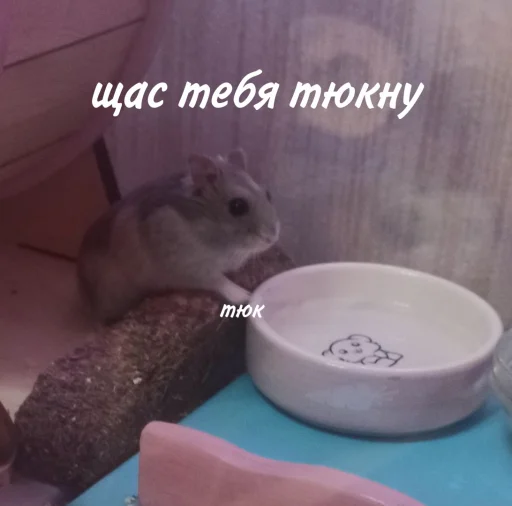 😎 Стикер «Гошик» для Telegram