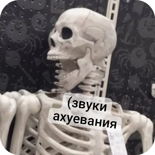 👍 Стикер «Господа скелеты» для Telegram