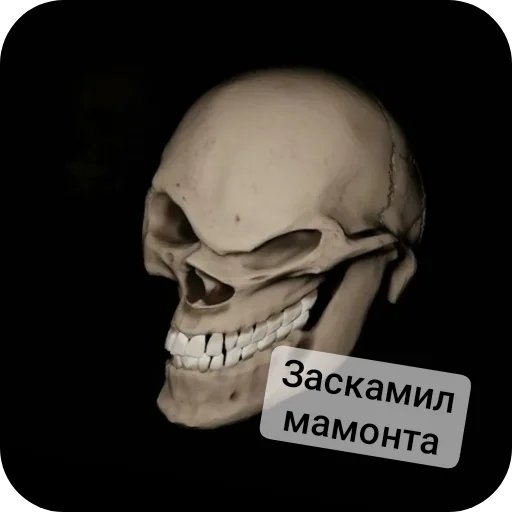👍 Стикер «Господа скелеты» для Telegram