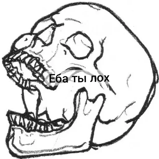 👍 Стикер «Господа скелеты» для Telegram