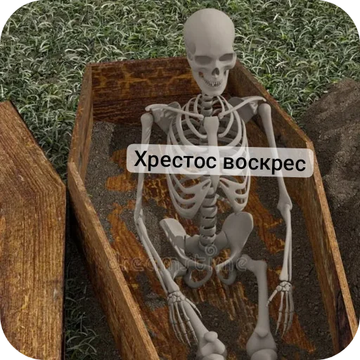 👍 Стикер «Господа скелеты» для Telegram