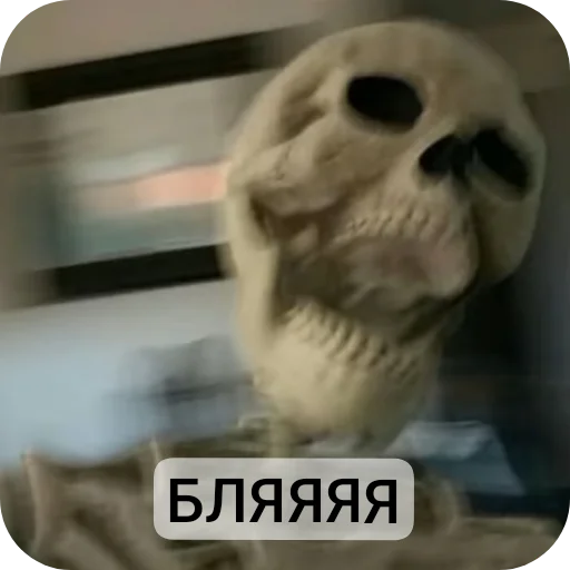 🐦 Стикер «Господа скелеты» для Telegram