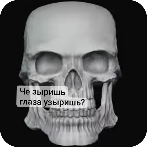 👍 Стикер «Господа скелеты» для Telegram