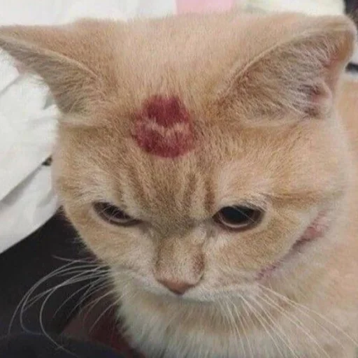 💋 Стикер «gossip girl» для Telegram