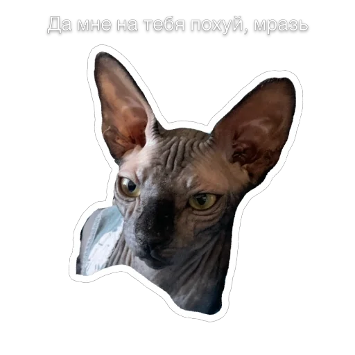 😐 Стикер «Гостецкий» для Telegram