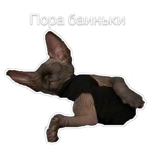 💤 Стикер «Гостецкий» для Telegram