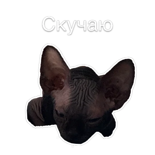 ❤ Стикер «Гостецкий» для Telegram