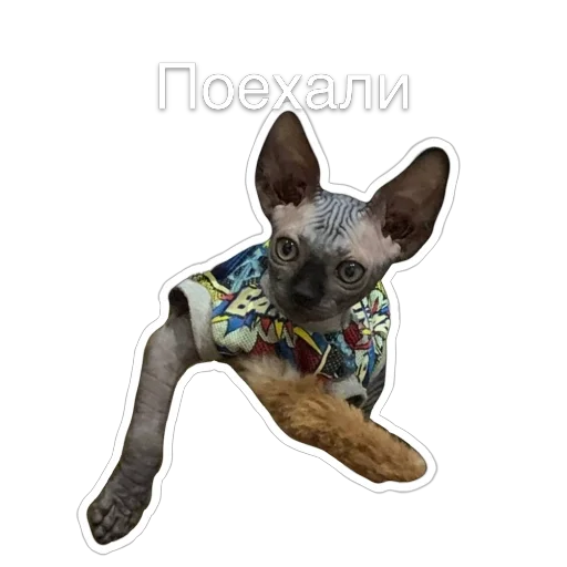 🚙 Стикер «Гостецкий» для Telegram