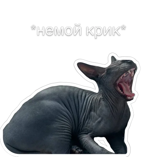 😡 Стикер «Гостецкий» для Telegram