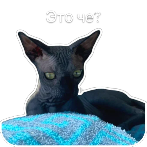❓ Стикер «Гостецкий» для Telegram