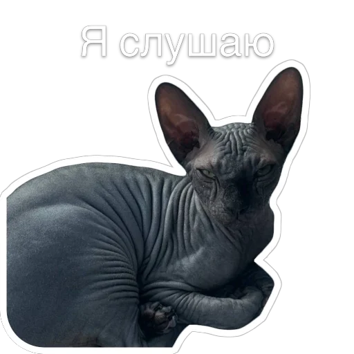 🧐 Стикер «Гостецкий» для Telegram