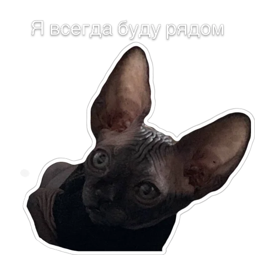 ❤️ Стикер «Гостецкий» для Telegram